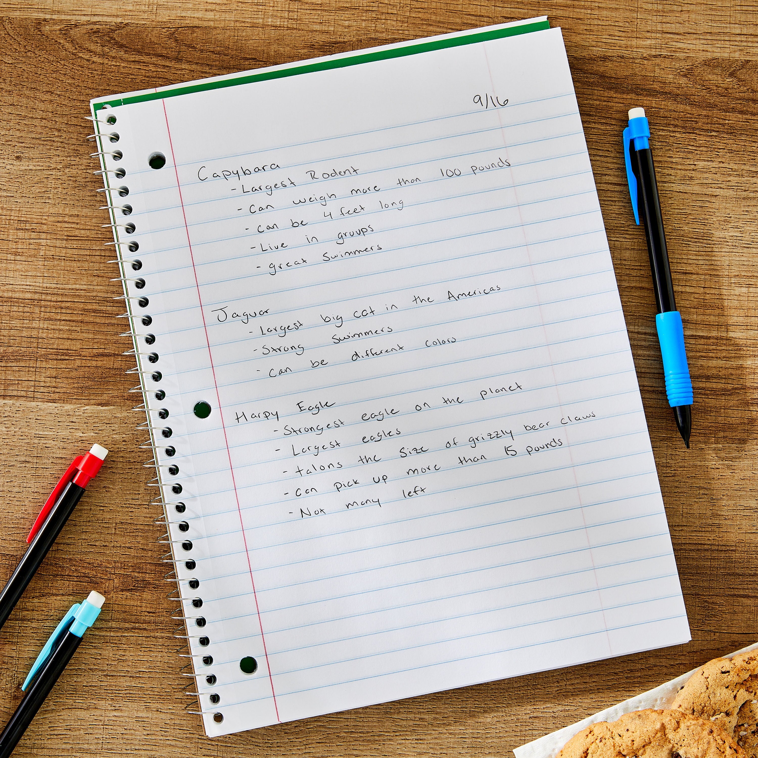 Pen + Gear Wide Ruled 1-Subject Notebook, 10.5” X 8”, Green, 70 Pages