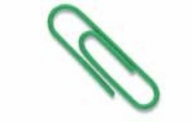 Baumgartens Vinyl Coated Paper Clips #1 Standard Size 100 Pack GREEN