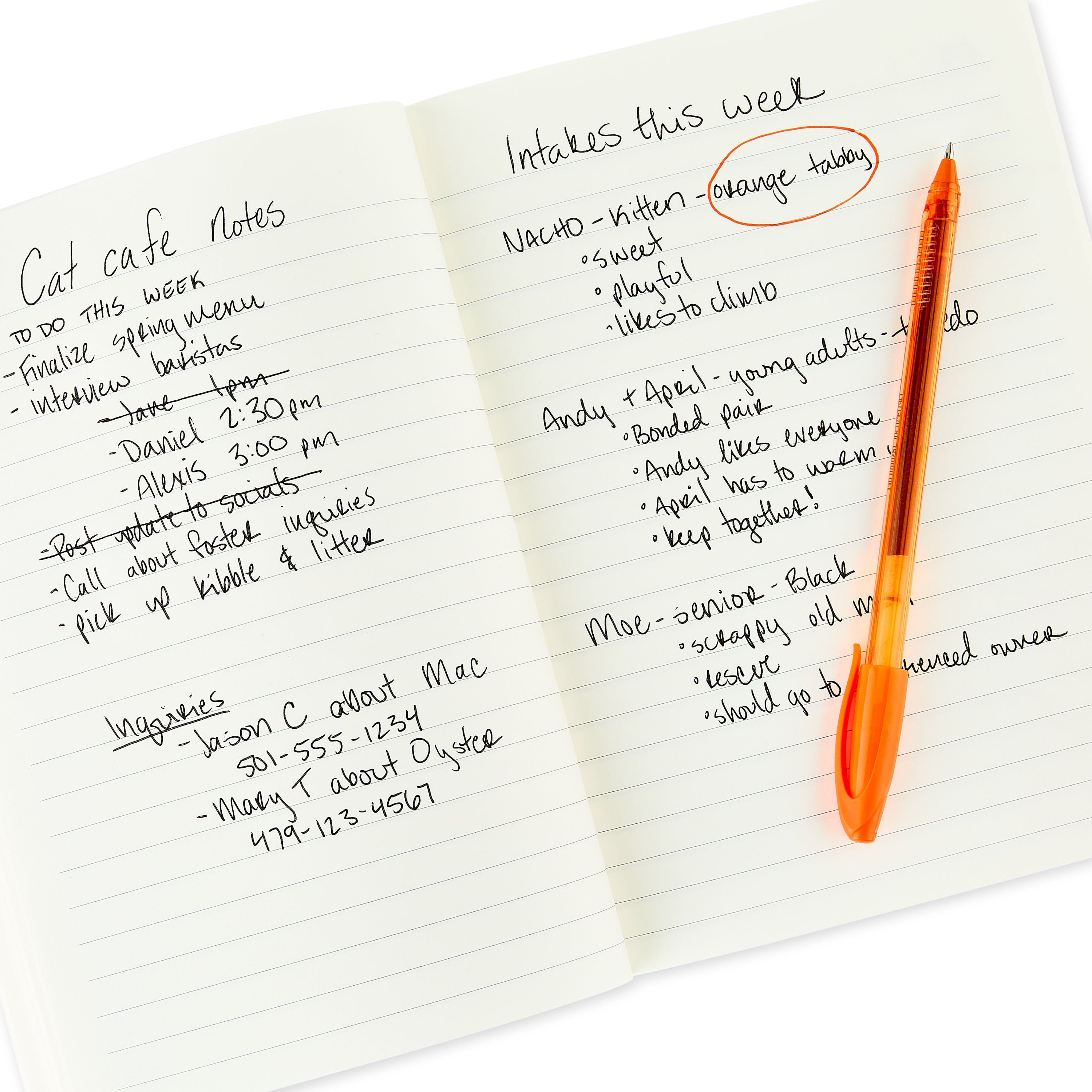 Gel Stick Pens, Medium Point, 0.7 Mm, Assorted Colors, 48 Count