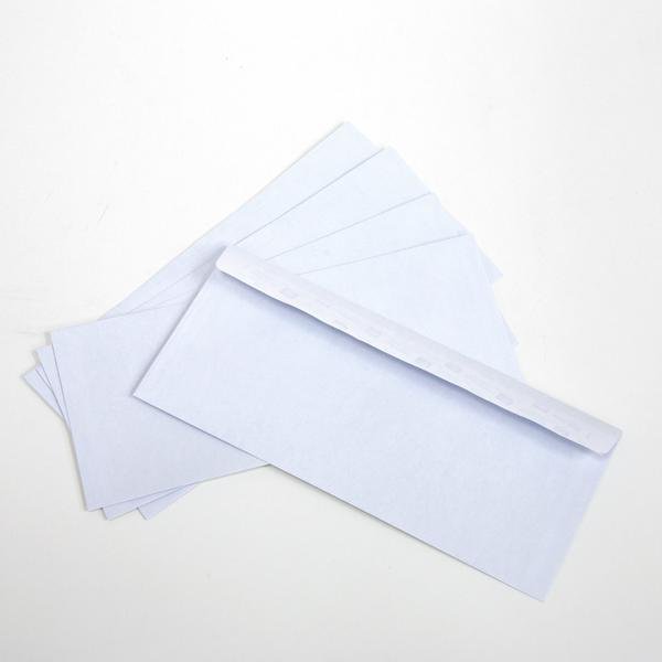 #10 Self-Seal Security Envelope (30/Pack)